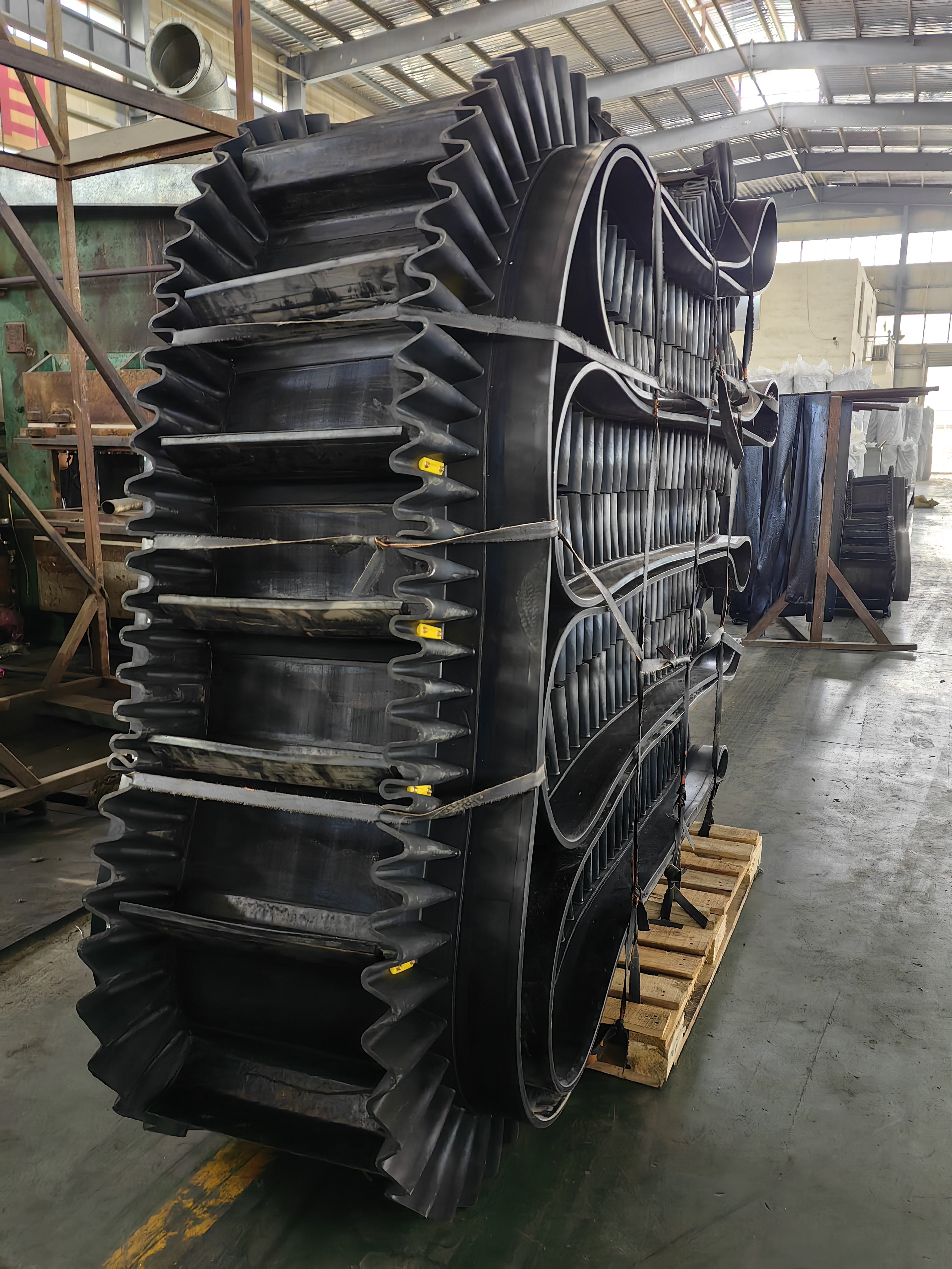 SIDEWALL CONVEYOR BELTS